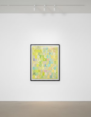 Mel Bochner - Scoundrel