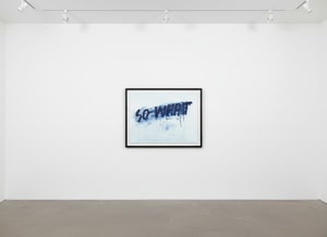 Mel Bochner - So What