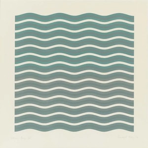 Bridget Riley - Coloured Greys 2
