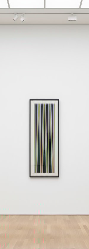 Bridget Riley - Elongated Triangles 6