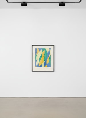 Bridget Riley - Fold