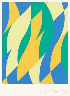 Bridget Riley - Fold