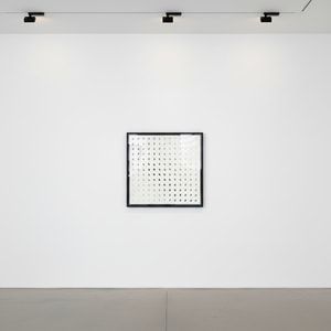 Bridget Riley - Nineteen Greys B