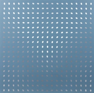 Bridget Riley - Nineteen Greys D