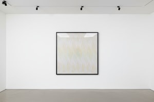 Bridget Riley - Rose