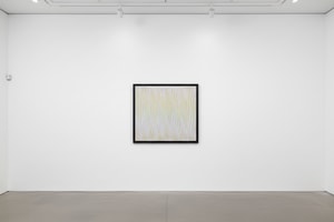 Bridget Riley - Untitled (Rose)