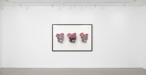 Connor Gottfried - Wilma