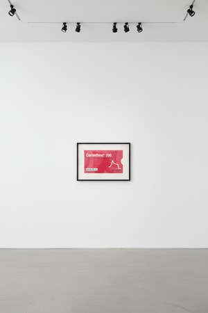 Damien Hirst - Corned Beef (from The Last Supper)