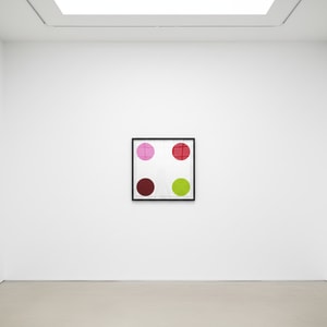 Damien Hirst - Curare