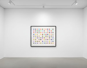 Damien Hirst - Ellipticine