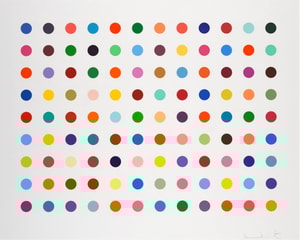 Damien Hirst - Ellipticine