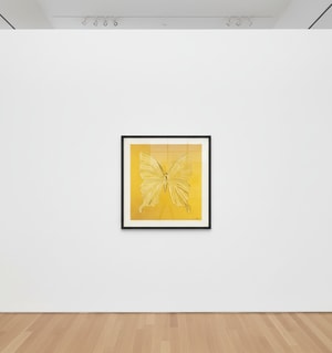 Damien Hirst - Eternal Beauty