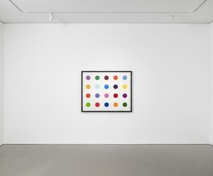 Damien Hirst - Fast Scarlet TR Base