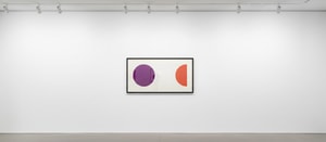 Damien Hirst - Ferric Acid Citrate