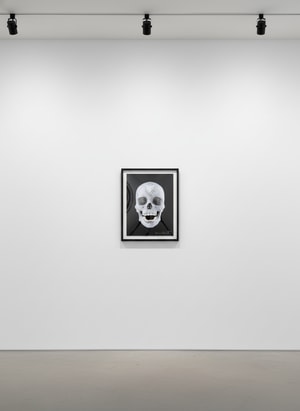 Damien Hirst - For the Love of God, Believe