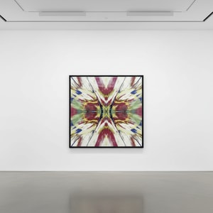 Damien Hirst - H1 -1 Enter The Infinite Revelation