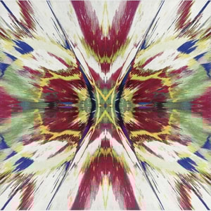 Damien Hirst - H1 -1 Enter The Infinite Revelation