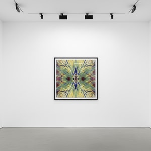 Damien Hirst - H1 -2 Enter The Infinite - Dream