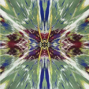 Damien Hirst - H1 -3 Enter The Infinite - Supernatural