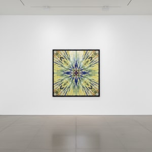 Damien Hirst - H1 -8 Enter The Infinite - Ecstasy