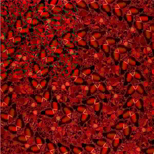 Damien Hirst - H10-5 Taytu Betul (The Empresses)