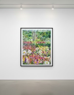 Damien Hirst - H14-4 Wisdom