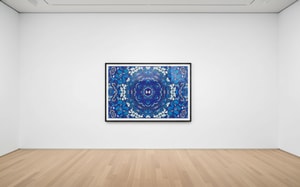 Damien Hirst - H18-2 Chameleon