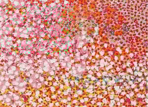 Damien Hirst - H4-1 Sans Souci