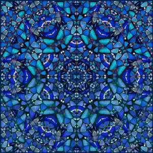 Damien Hirst - H6-4 Goodness