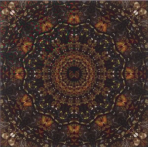 Damien Hirst - H6-6 Elements : Earth