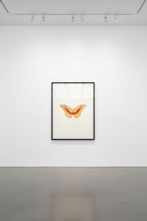 Damien Hirst - I Love You (White, Pink, Cool Gold, Poppy Red)