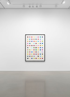 Damien Hirst - L-Isoleucine T-Butyl Ester