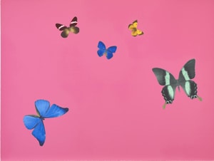 Damien Hirst - Lessons in Love (Be Considerate)