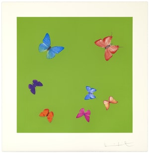 Damien Hirst - Love Poems (Longing)