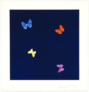 Damien Hirst - Love Poems (To A Stranger)