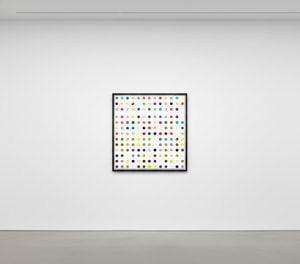 Damien Hirst - Lysergic Acid Diethylamide (LSD)