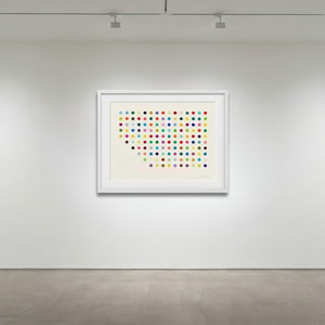 Damien Hirst - Meprobamate