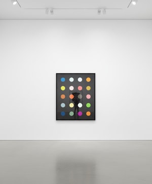Damien Hirst - Methylamine 13c