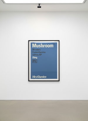 Damien Hirst - Mushroom, from The Last Supper