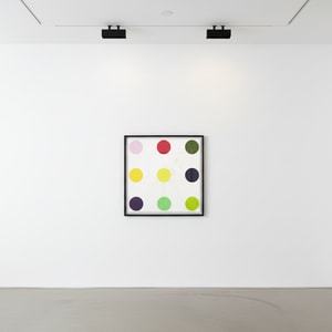 Damien Hirst - Phenformin