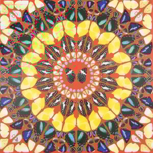 Damien Hirst - Psalm: Benedicam Domino