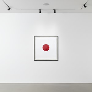 Damien Hirst - Rhodotorulic Acid