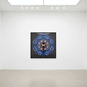 Damien Hirst - Sanctum: Dome