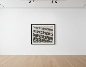 Damien Hirst - Silver Tears, Utopia