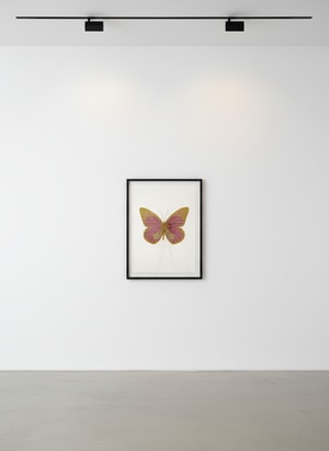 Damien Hirst - Souls I (Loganberry Pink/ Cool Gold/ Oriental Gold)