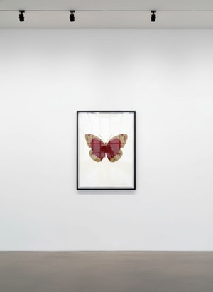Damien Hirst - Souls II (Chili Red / Cool Gold)