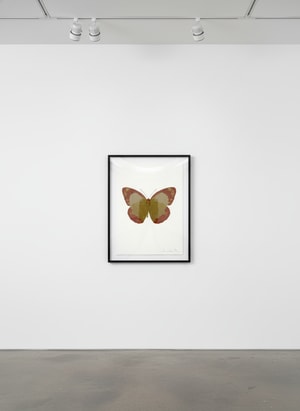Damien Hirst - Souls II (Oriental Gold - Prairie Copper - Cool Gold)