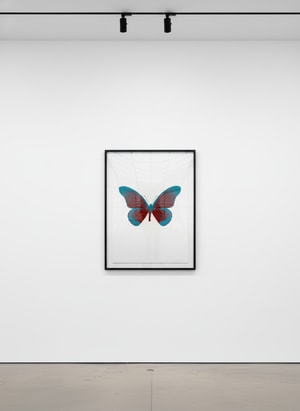 Damien Hirst - Souls IV (Chili Red, Topaz)