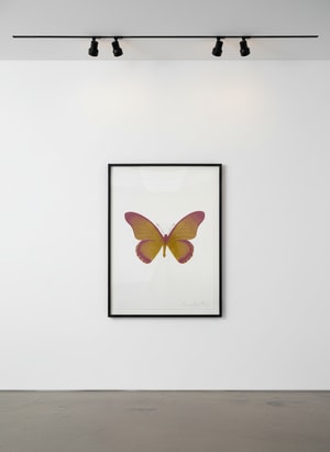 Damien Hirst - Souls IV (Oriental Gold, Longberry pink)