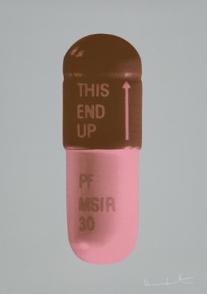Damien Hirst - The Cure (Frigate/Chocolate/Rose Pink)